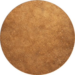 Tag Icon